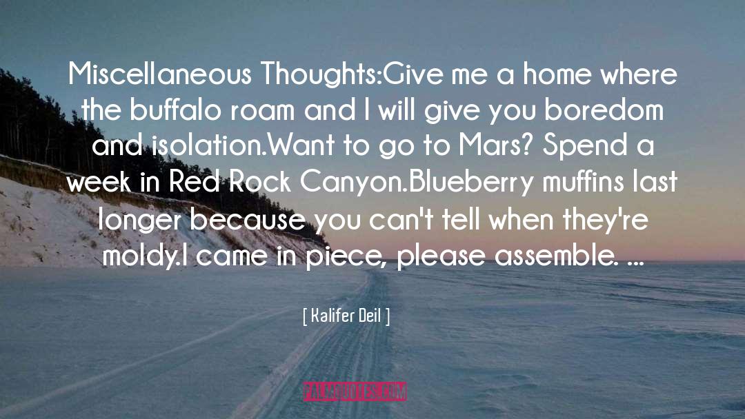 Miscellaneous quotes by Kalifer Deil