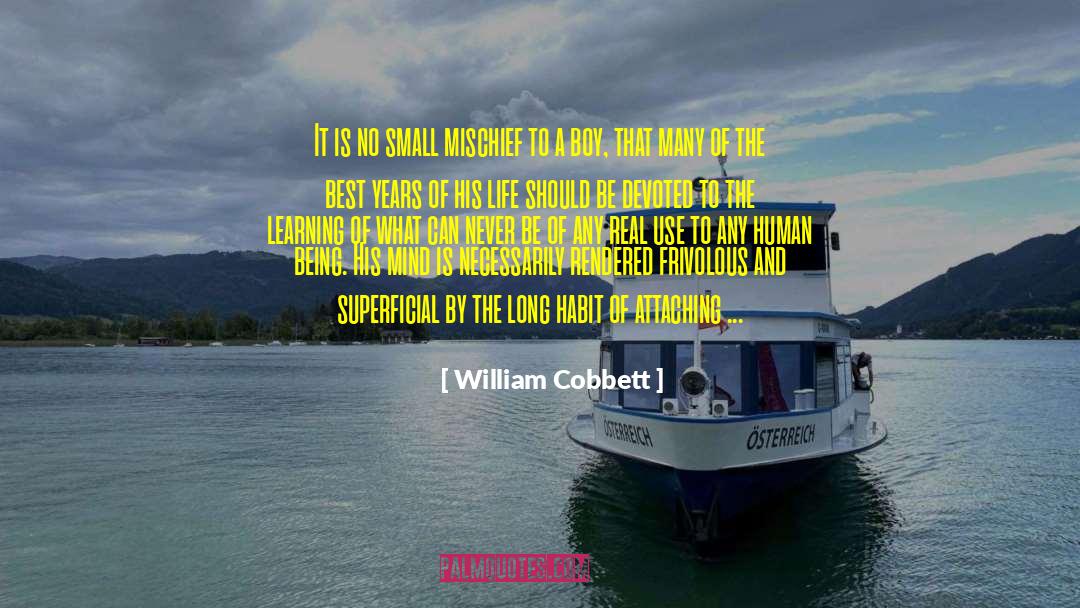 Mischief quotes by William Cobbett