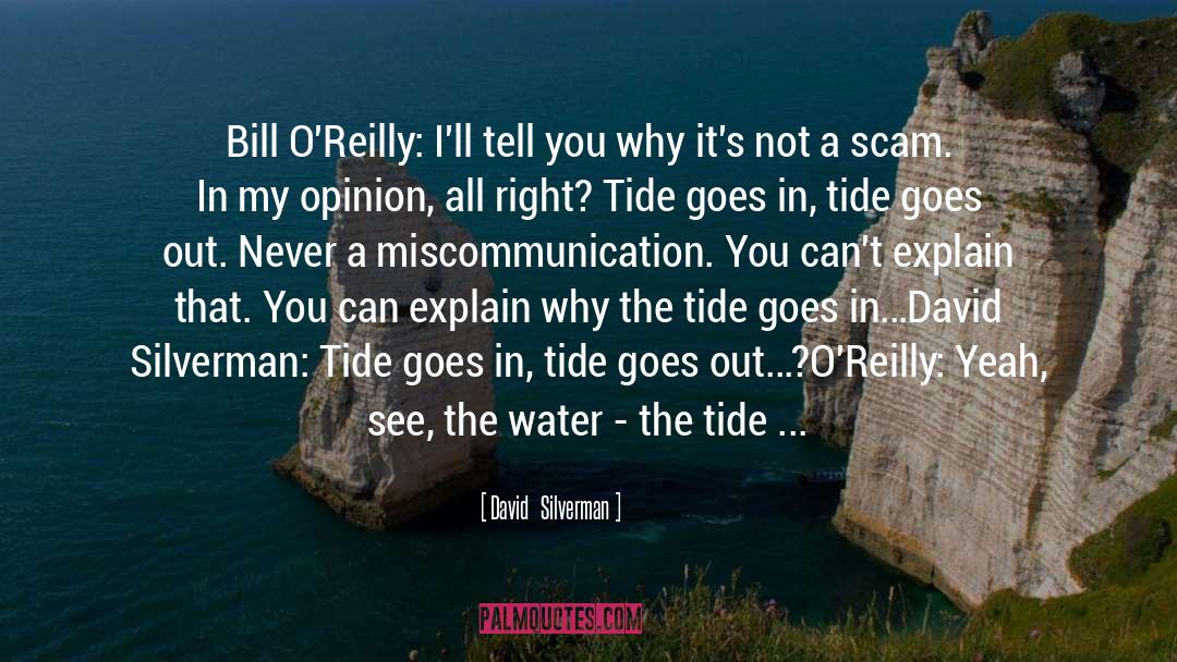 Miscommunication quotes by David   Silverman