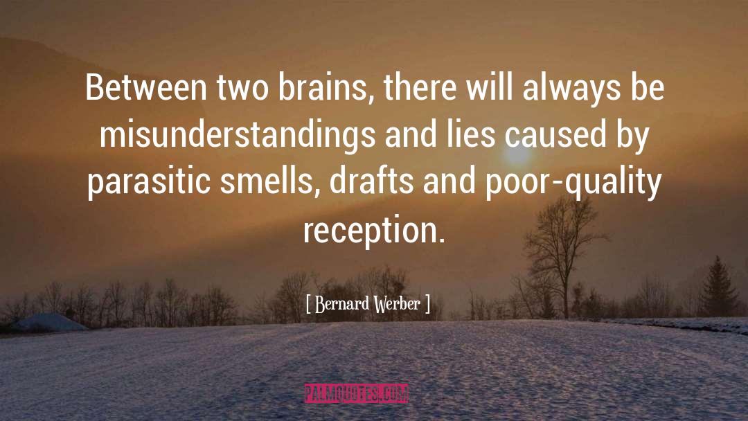 Miscommunication quotes by Bernard Werber