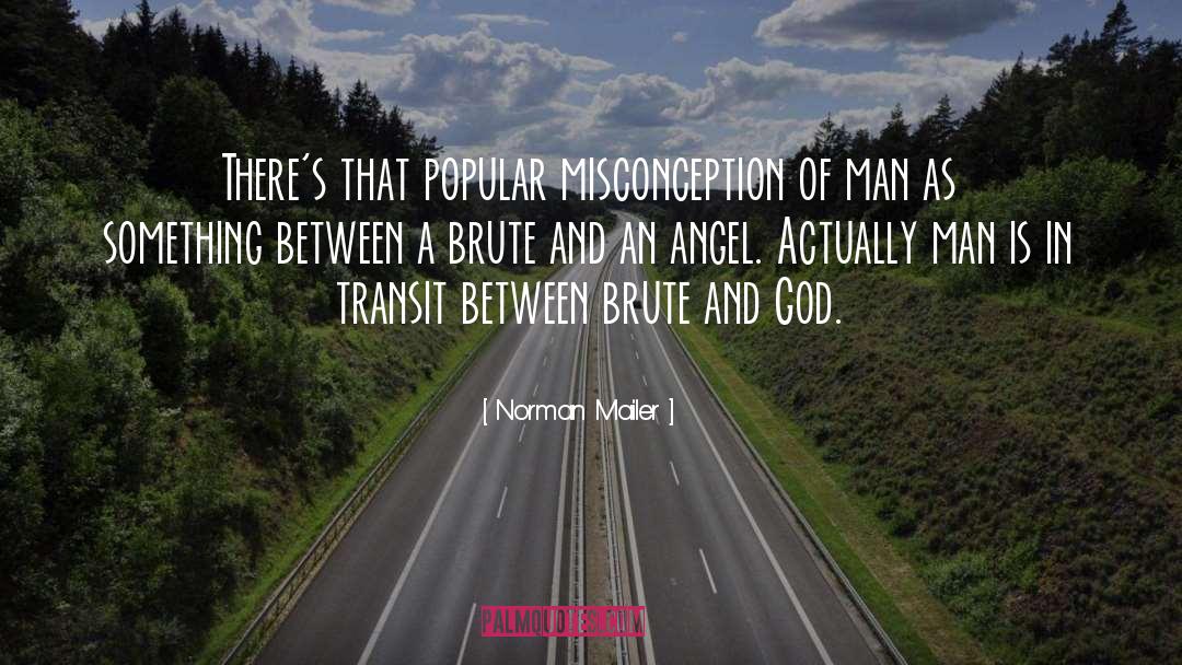 Misconception quotes by Norman Mailer