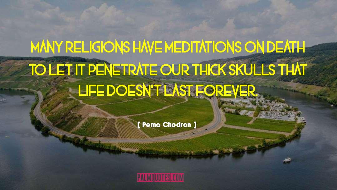 Miserable Life quotes by Pema Chodron