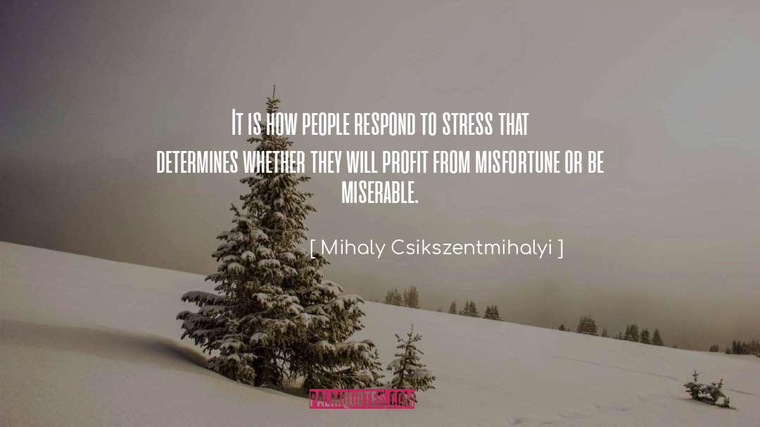 Miserable quotes by Mihaly Csikszentmihalyi