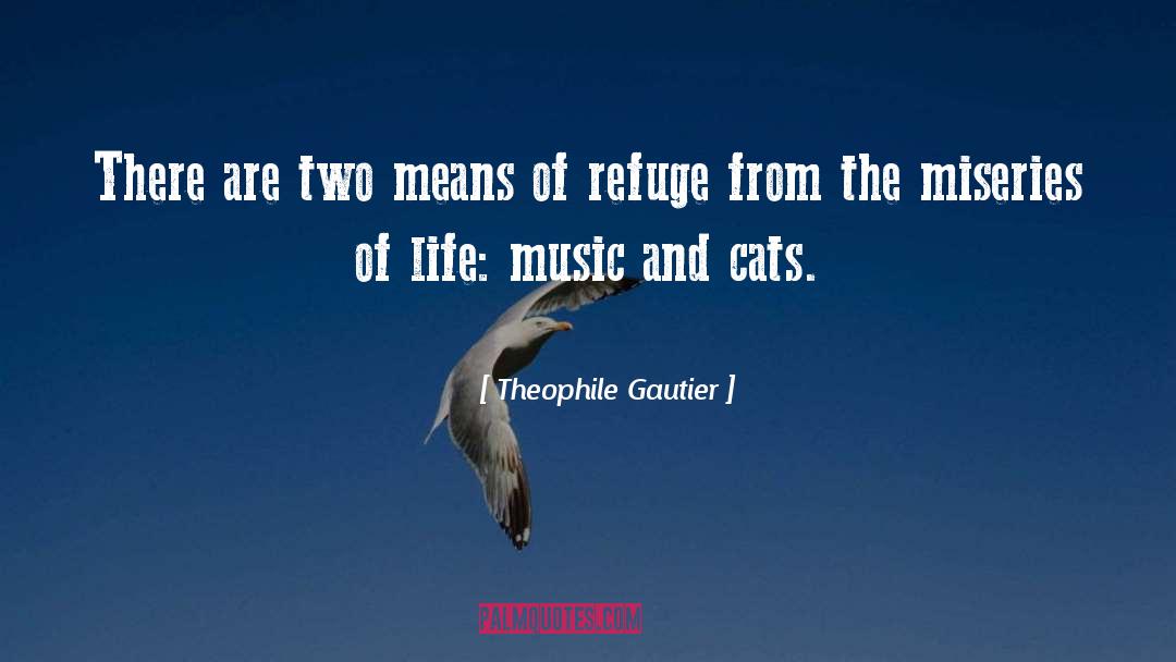 Miseries quotes by Theophile Gautier