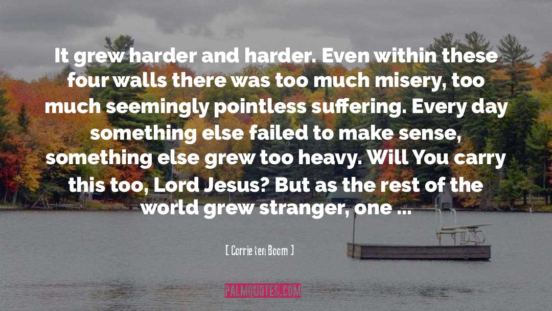 Misery And Pain quotes by Corrie Ten Boom