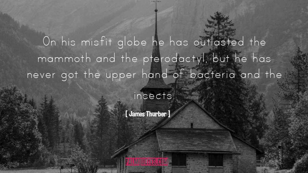 Misfit quotes by James Thurber