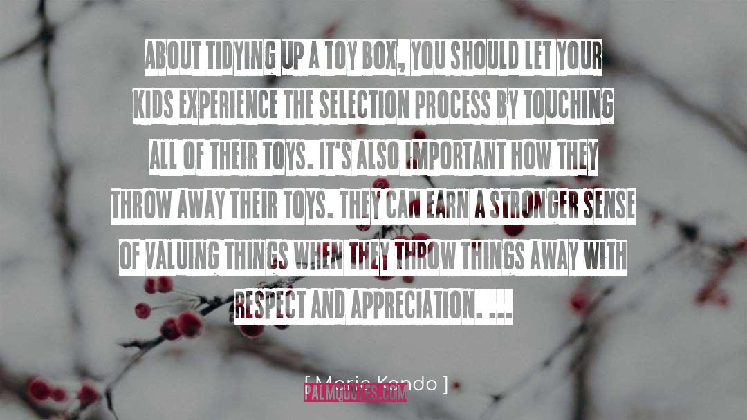 Misfit Toys quotes by Marie Kondo