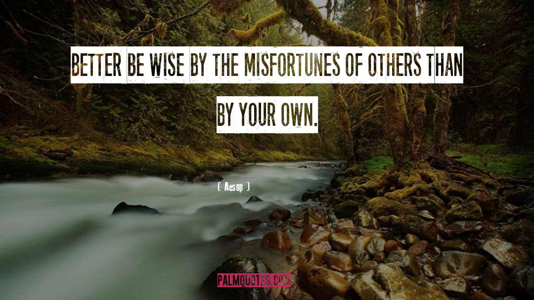 Misfortunes Of Others quotes by Aesop