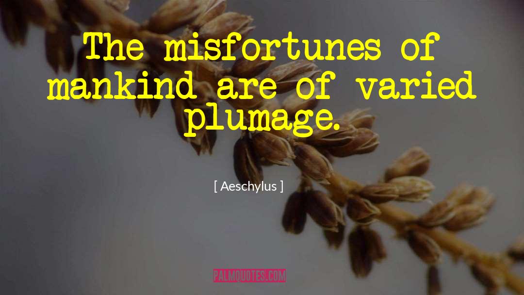 Misfortunes Of Others quotes by Aeschylus