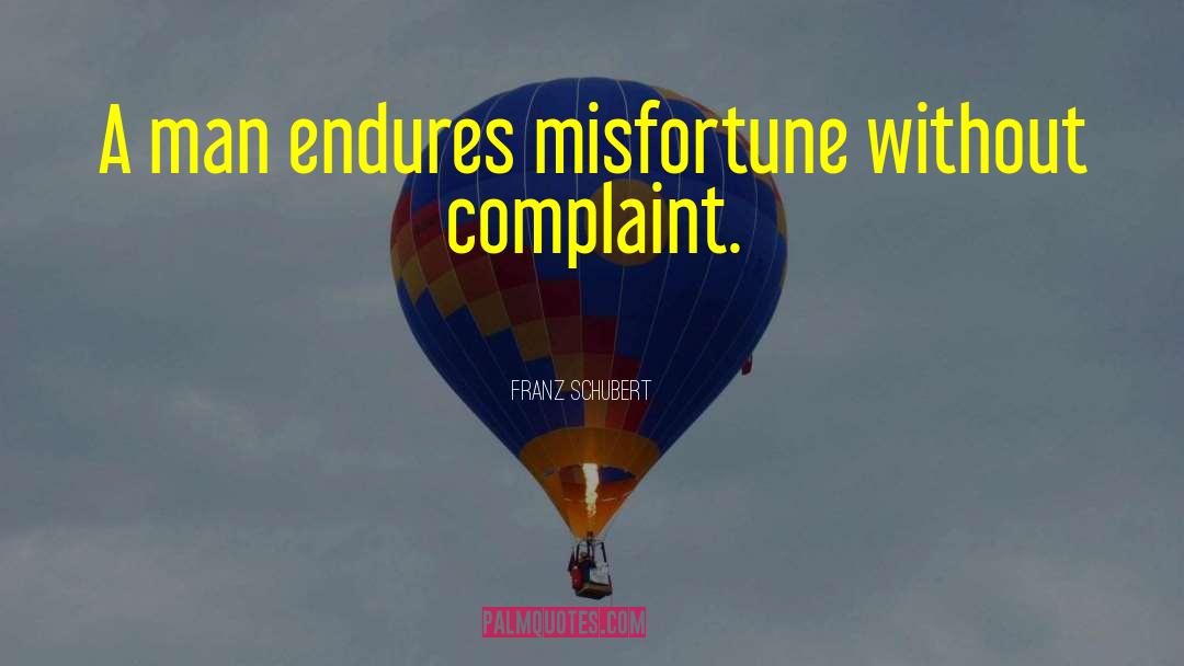 Misfortunes quotes by Franz Schubert