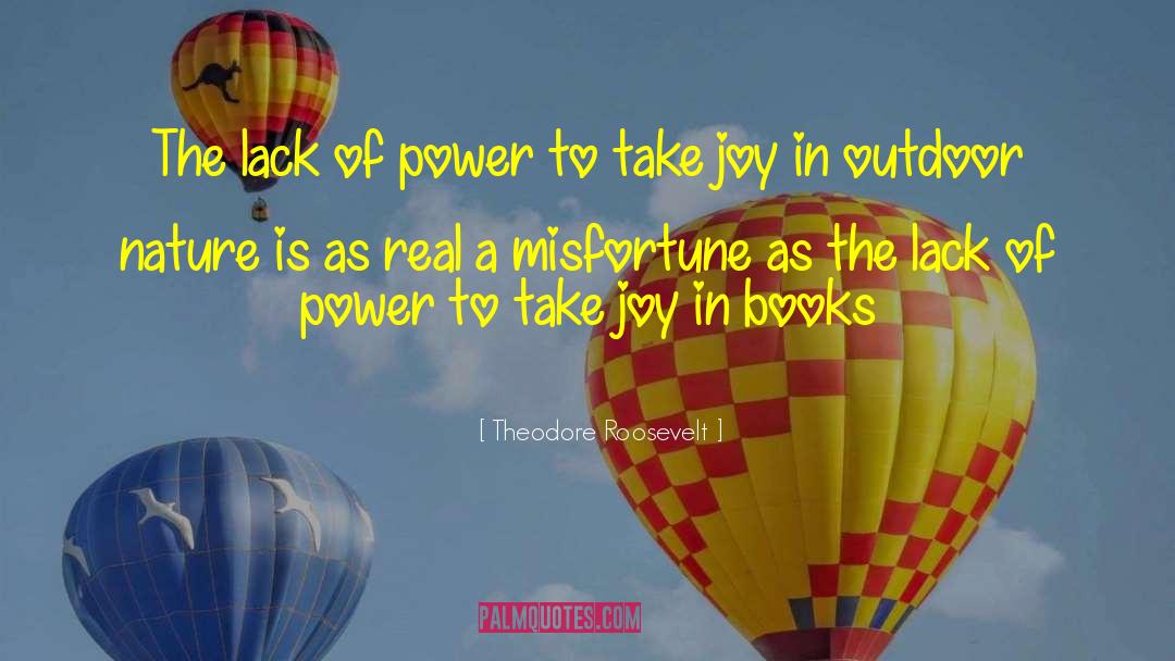 Misfortunes quotes by Theodore Roosevelt