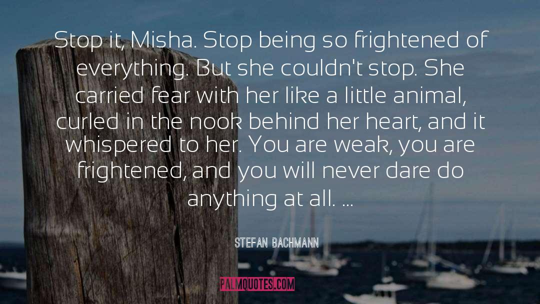 Misha And Ryen quotes by Stefan Bachmann