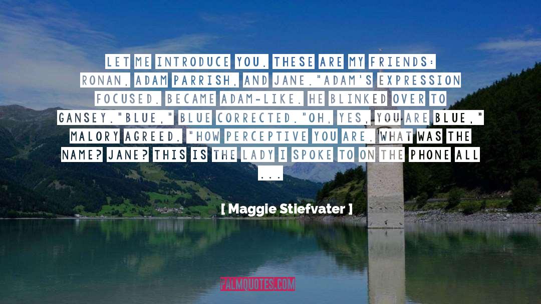 Misheard quotes by Maggie Stiefvater