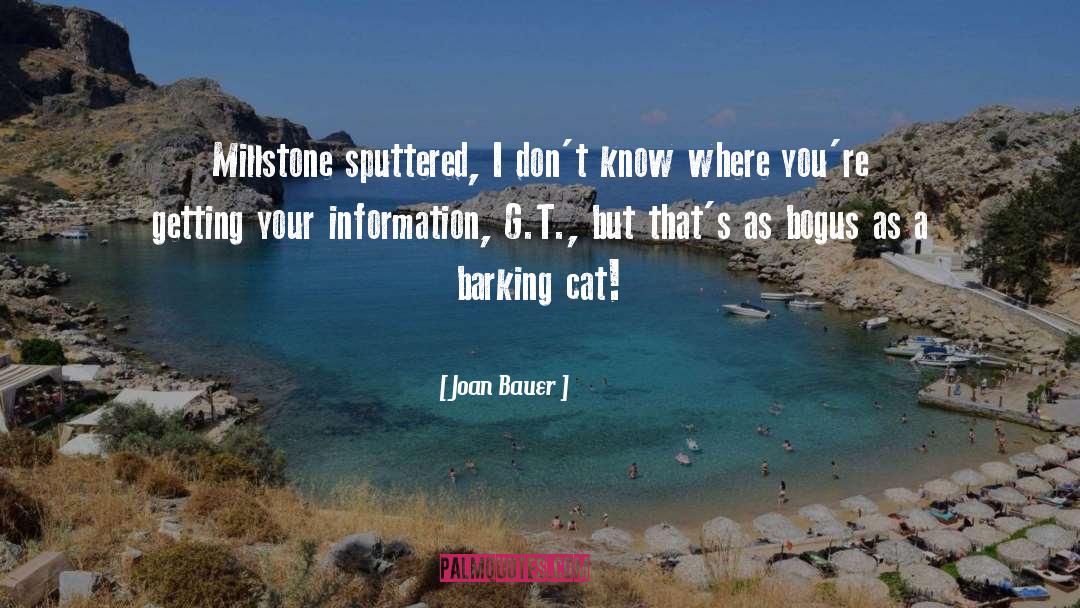 Misinformation quotes by Joan Bauer