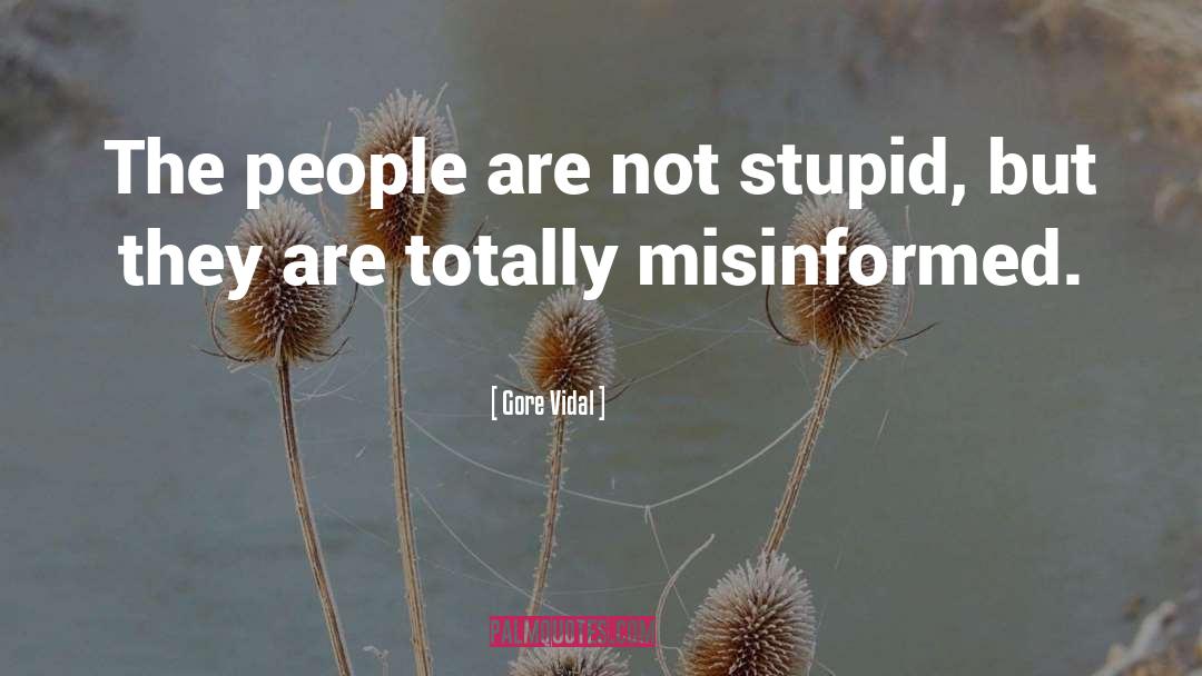 Misinformed quotes by Gore Vidal