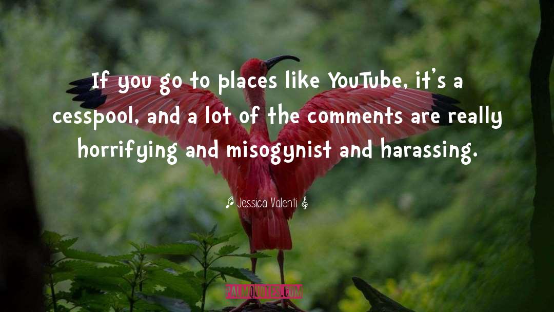 Misogynist quotes by Jessica Valenti