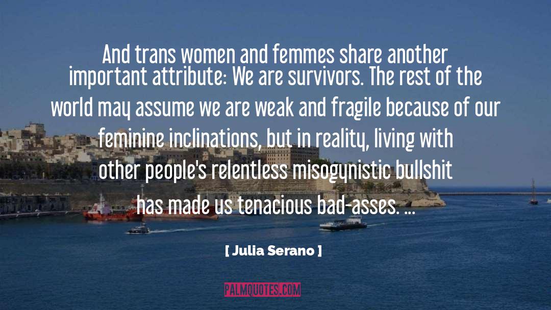 Misogynistic quotes by Julia Serano