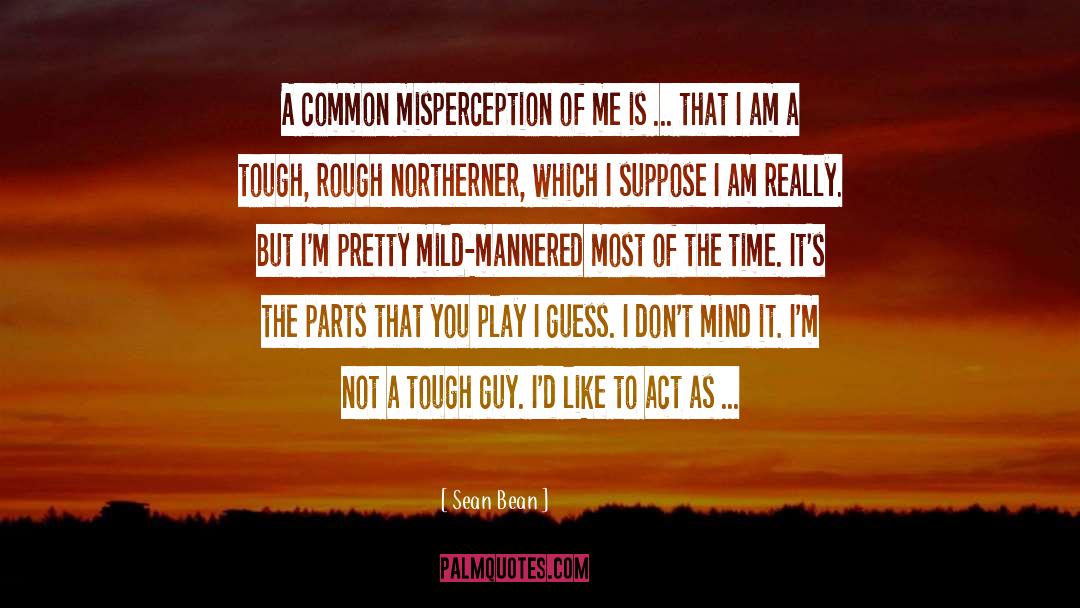 Misperception quotes by Sean Bean
