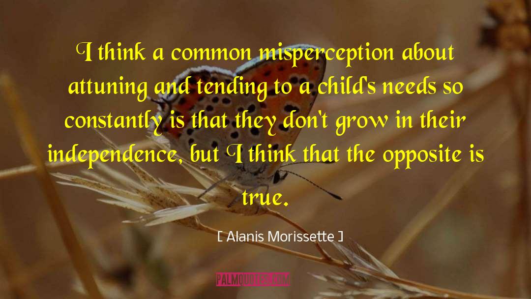 Misperception quotes by Alanis Morissette