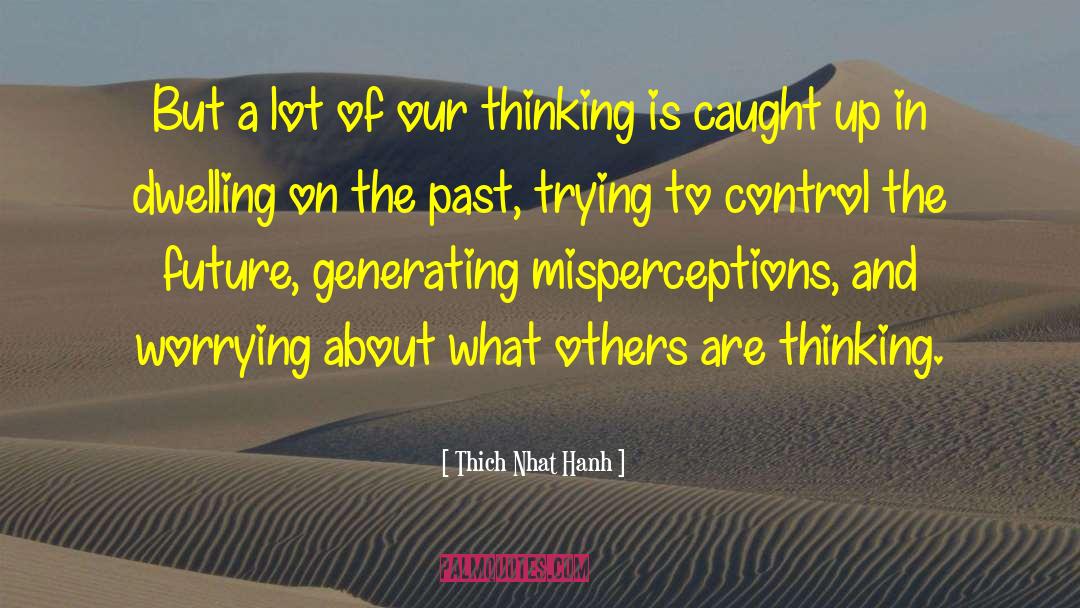 Misperceptions quotes by Thich Nhat Hanh