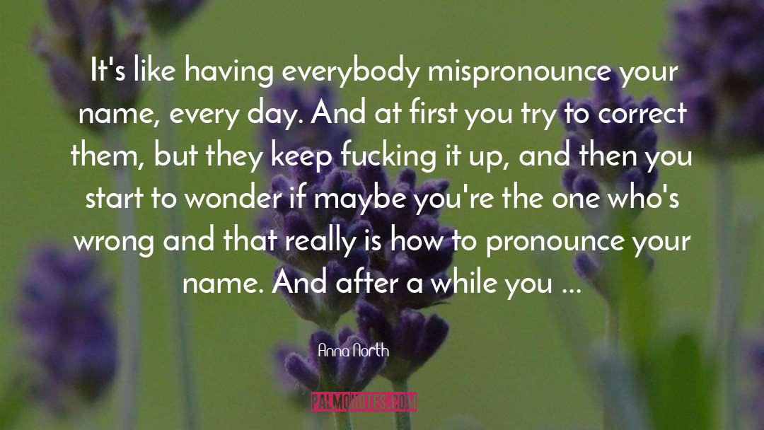 Mispronounce quotes by Anna North