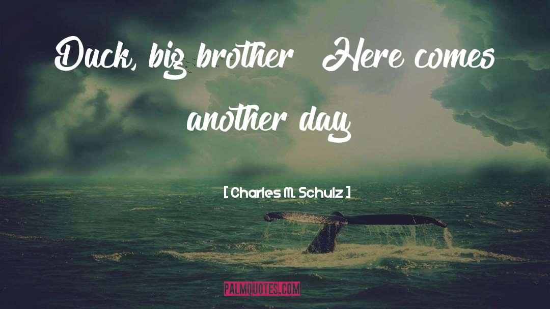 Miss U Big Brother quotes by Charles M. Schulz