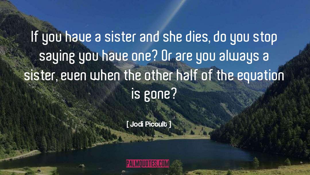 Miss You Death Sister quotes by Jodi Picoult
