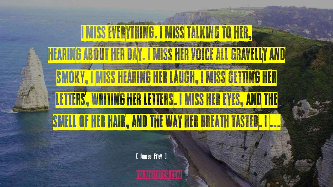 Miss You Death Sister quotes by James Frey