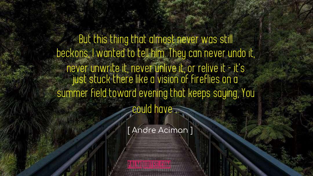 Missed Chances quotes by Andre Aciman