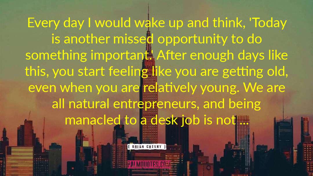 Missed Opportunity Sad quotes by Brian Chesky