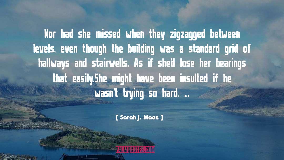 Missed quotes by Sarah J. Maas
