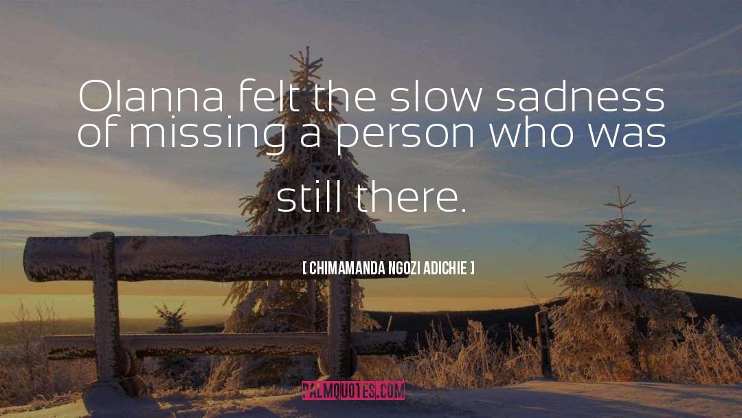 Missing A Person quotes by Chimamanda Ngozi Adichie