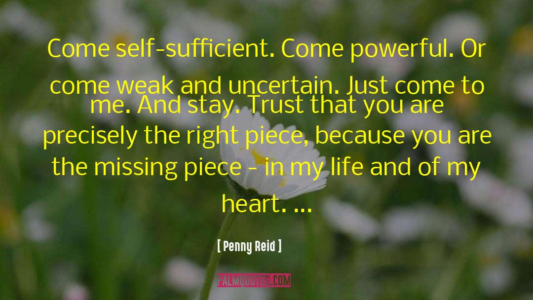 Missing Piece quotes by Penny Reid