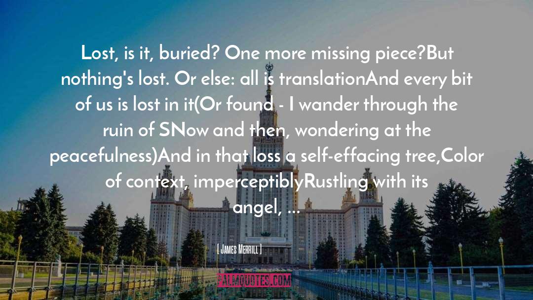 Missing Piece quotes by James Merrill