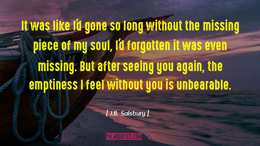 Missing Piece quotes by J.B. Salsbury