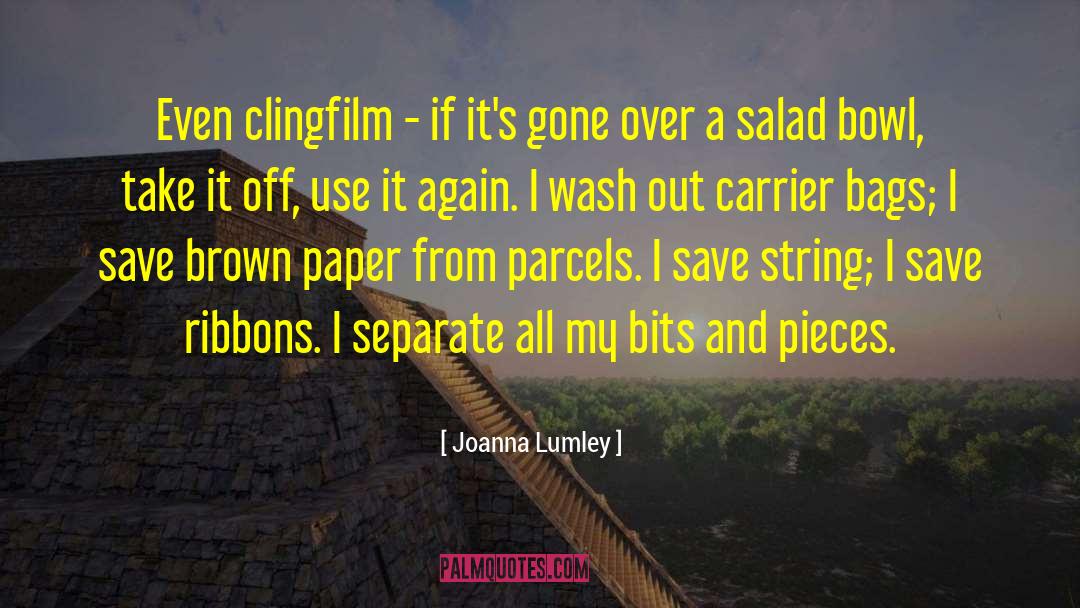 Missing Pieces quotes by Joanna Lumley