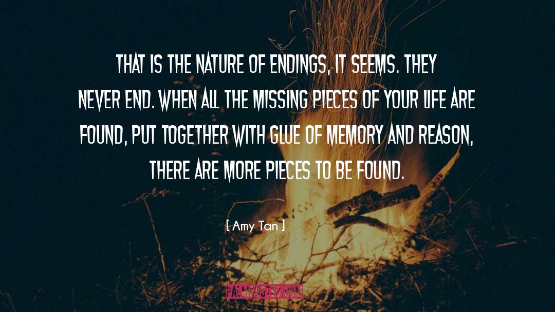 Missing Pieces quotes by Amy Tan