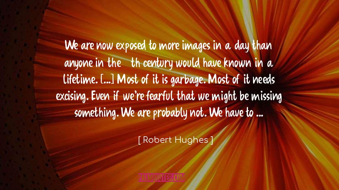 Missing Something quotes by Robert Hughes