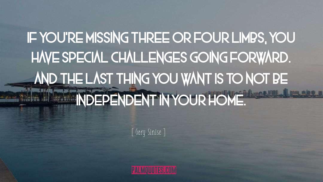 Missing Your Fiance quotes by Gary Sinise