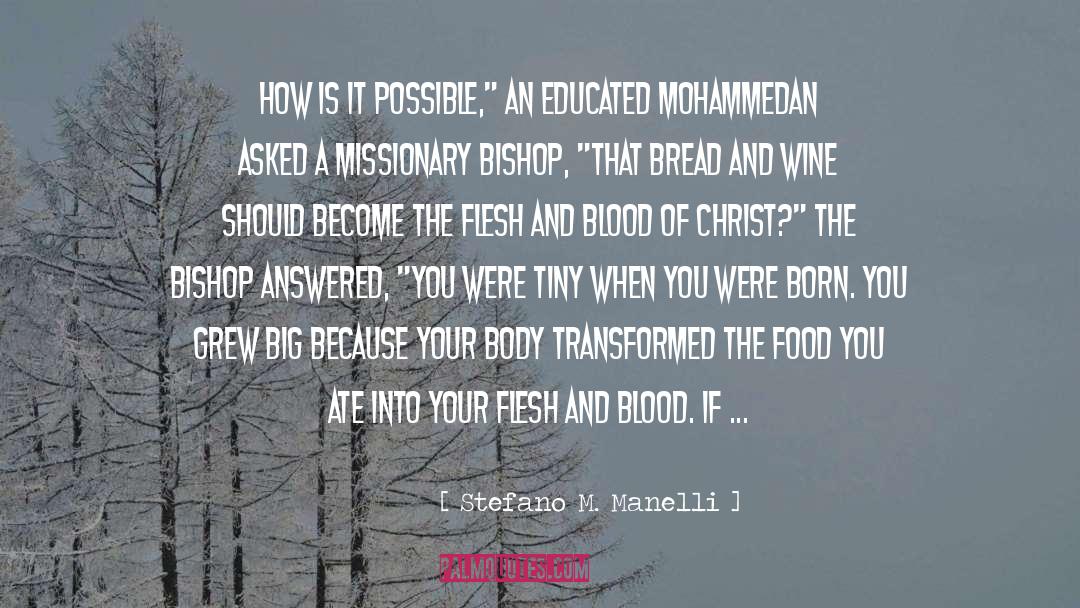 Missionary Zeal quotes by Stefano M. Manelli