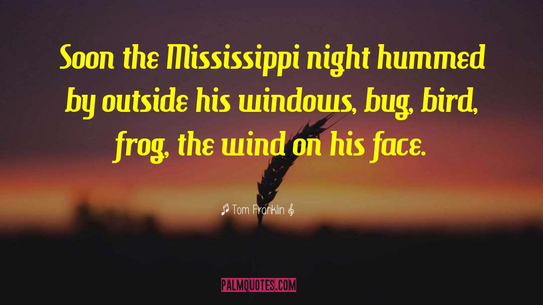 Mississippi quotes by Tom Franklin