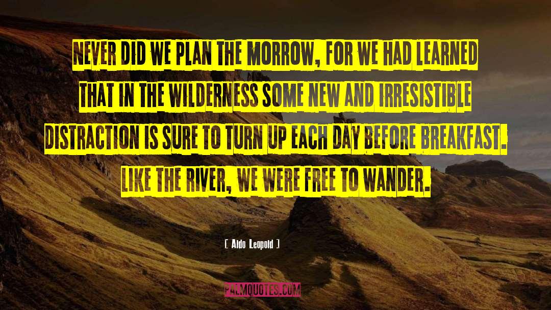 Mississippi River quotes by Aldo Leopold