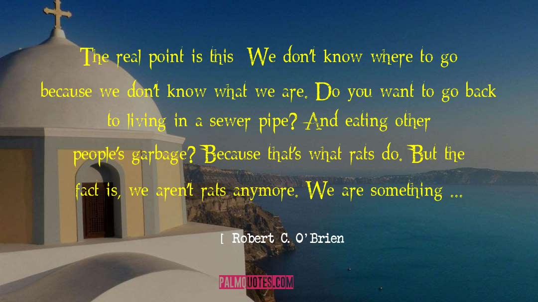 Mistaken Identity quotes by Robert C. O'Brien