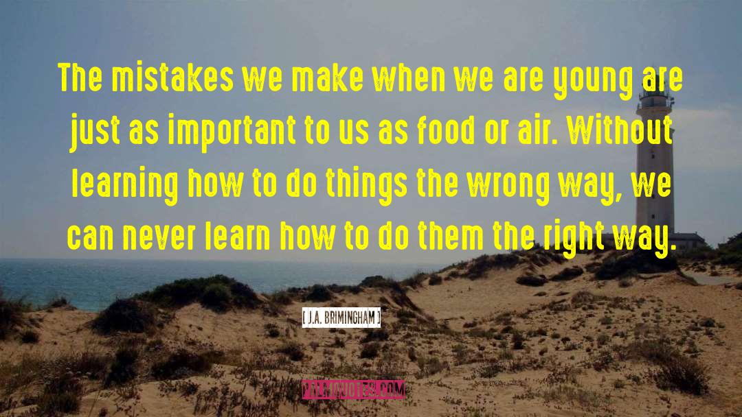 Mistakes We Make quotes by J.A. Brimingham