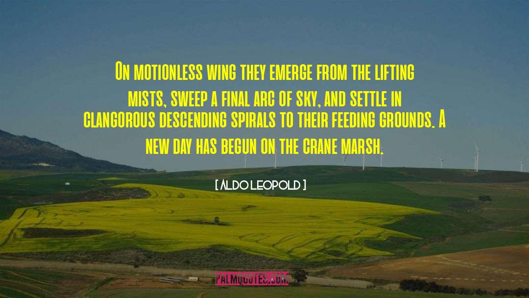 Mists quotes by Aldo Leopold