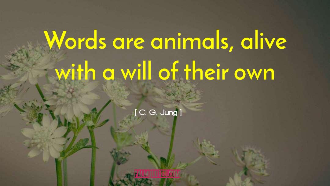 Misused Words quotes by C. G. Jung