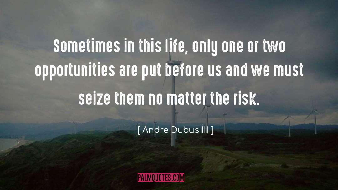 Mitigate Risk quotes by Andre Dubus III