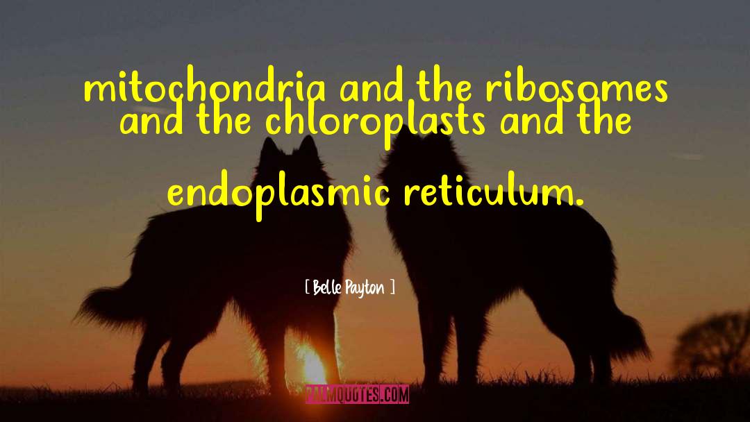 Mitochondria quotes by Belle Payton