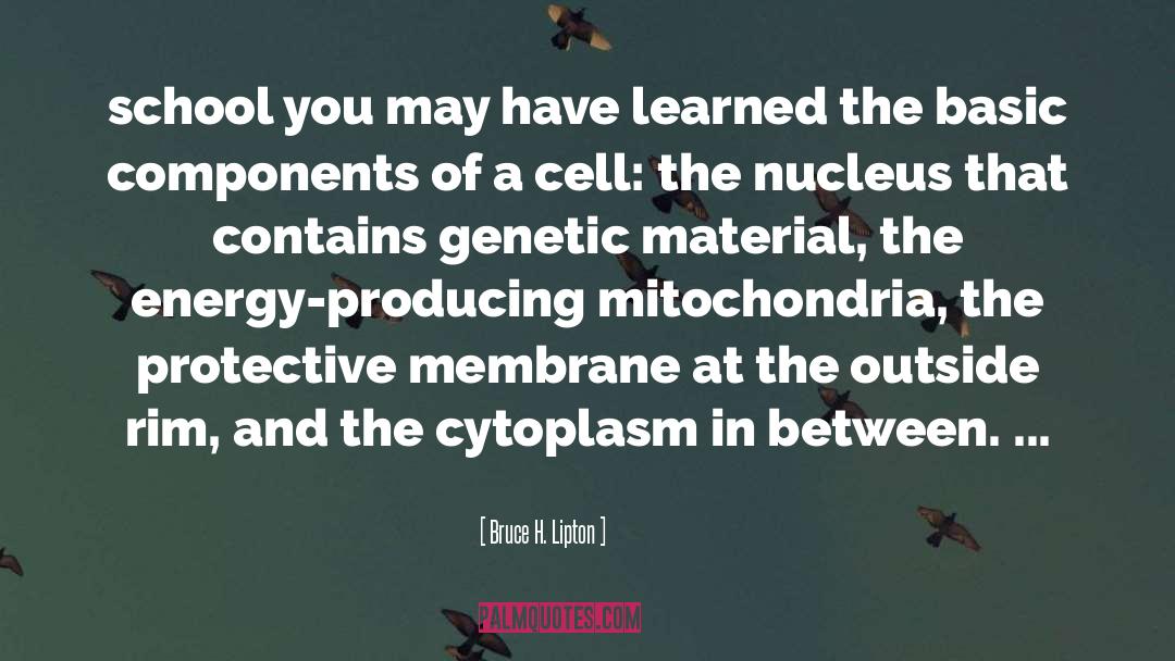 Mitochondria quotes by Bruce H. Lipton