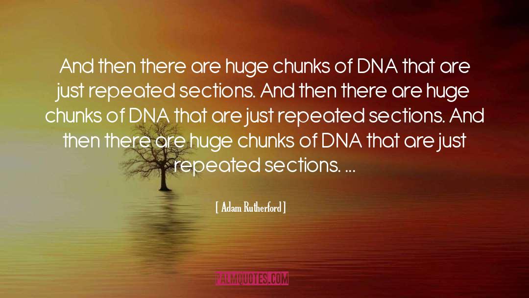 Mitochondrial Dna quotes by Adam Rutherford